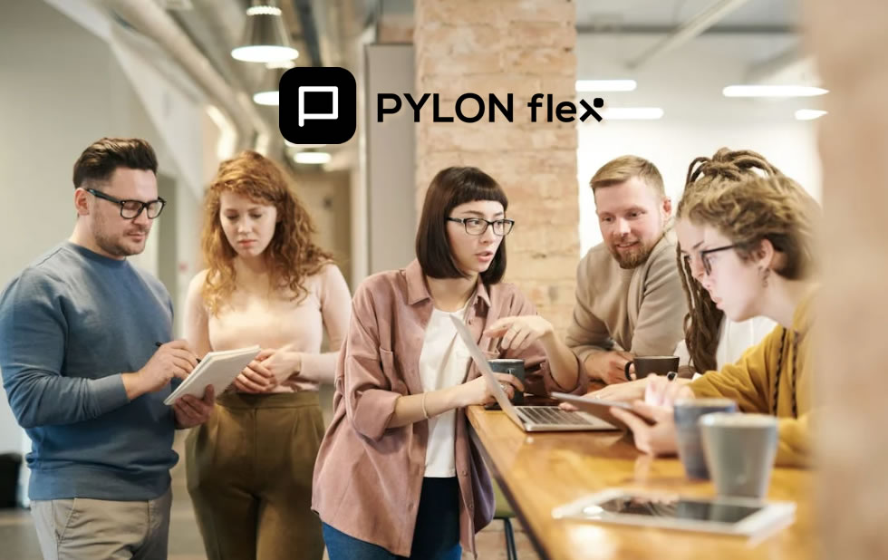 Pylon Flex: &Omicron;&iota; &Delta;&iota;&alpha;&sigma;&upsilon;&nu;&delta;έ&sigma;&epsilon;&iota;&sigmaf; &pi;&omicron;&upsilon; &Alpha;&pi;&omicron;&gamma;&epsilon;&iota;ώ&nu;&omicron;&upsilon;&nu; &tau;&eta;&nu; &Epsilon;&pi;&iota;&chi;&epsilon;ί&rho;&eta;&sigma;ή &sigma;&alpha;&sigmaf;