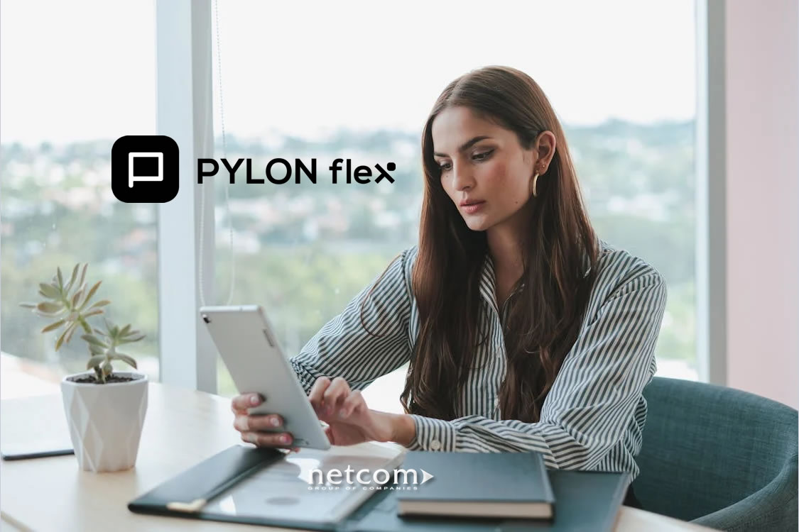 PYLON flex &gamma;&iota;&alpha; &Kappa;&alpha;&tau;&alpha;&sigma;&tau;ή&mu;&alpha;&tau;&alpha; &Tau;&epsilon;&chi;&nu;&omicron;&lambda;&omicron;&gamma;&iota;&kappa;&omicron;ύ &Epsilon;&xi;&omicron;&pi;&lambda;&iota;&sigma;&mu;&omicron;ύ