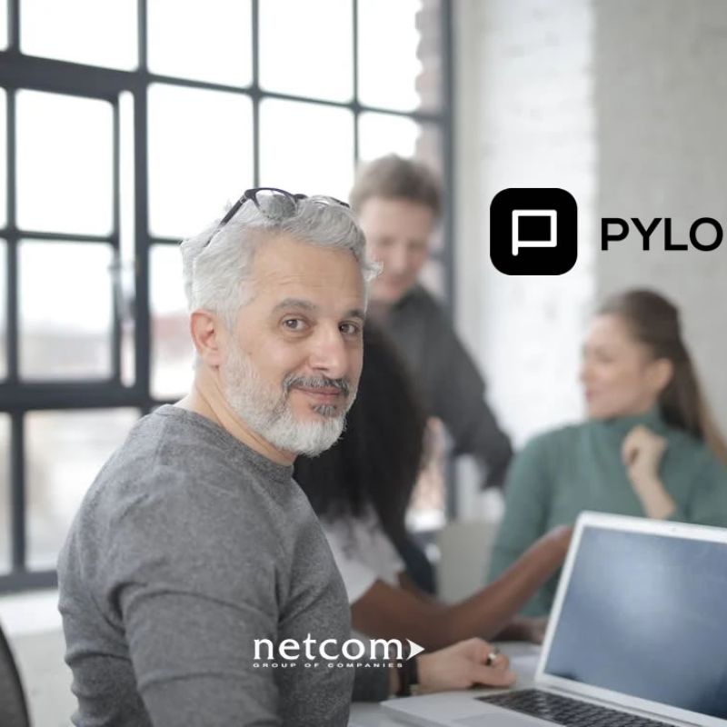 PYLON Flex - &Eta; &nu;έ&alpha; &epsilon;&pi;&omicron;&chi;ή &gamma;&iota;&alpha; &tau;&iota;&sigmaf; &epsilon;&pi;&iota;&chi;&epsilon;&iota;&rho;ή&sigma;&epsilon;&iota;&sigmaf; &upsilon;&pi;&eta;&rho;&epsilon;&sigma;&iota;ώ&nu;