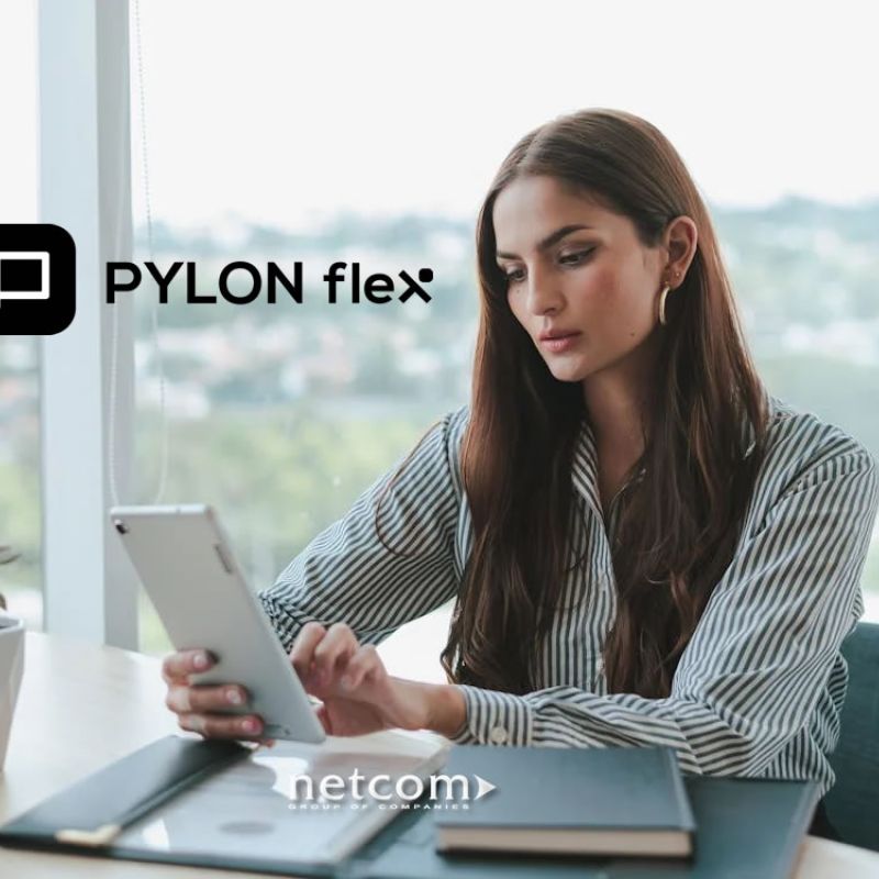 PYLON flex &gamma;&iota;&alpha; &Kappa;&alpha;&tau;&alpha;&sigma;&tau;ή&mu;&alpha;&tau;&alpha; &Tau;&epsilon;&chi;&nu;&omicron;&lambda;&omicron;&gamma;&iota;&kappa;&omicron;ύ &Epsilon;&xi;&omicron;&pi;&lambda;&iota;&sigma;&mu;&omicron;ύ