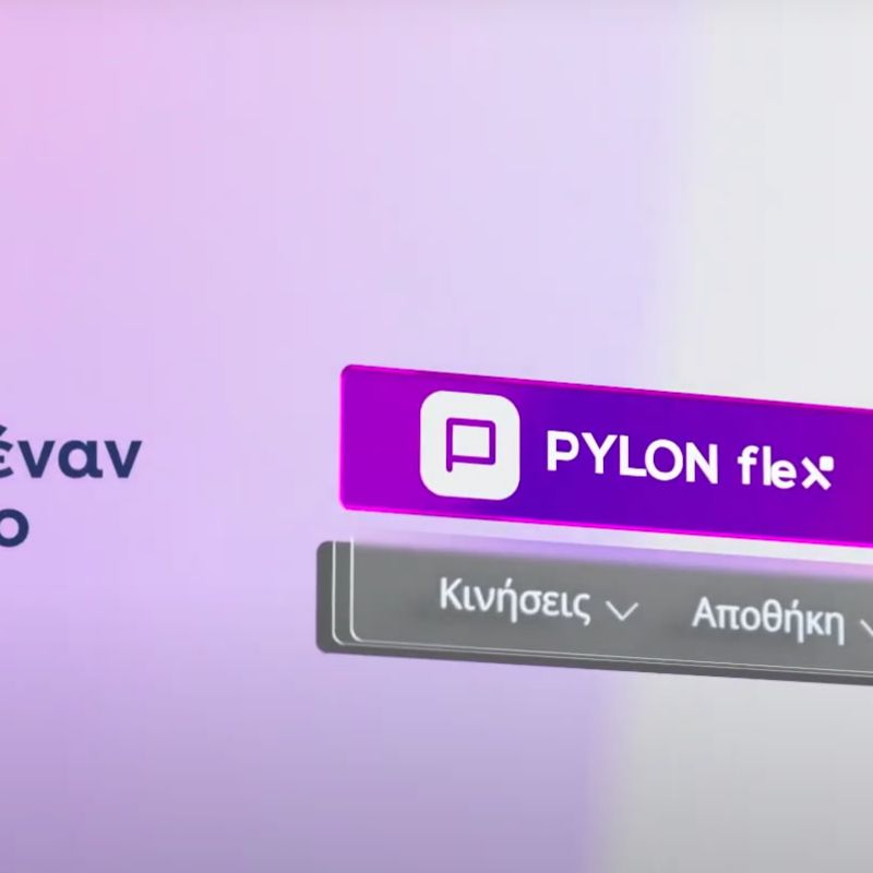 PYLON Flex: Όλες οι Διασυνδέσεις που χρειάζεσαι για μια Επιχείρηση χωρίς περιορισμούς.