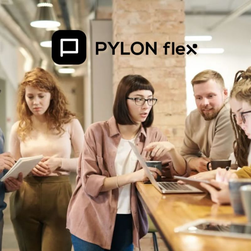 PYLON Flex: &Omicron;&iota; &delta;&iota;&alpha;&sigma;&upsilon;&nu;&delta;έ&sigma;&epsilon;&iota;&sigmaf; &pi;&omicron;&upsilon; &alpha;&pi;&omicron;&gamma;&epsilon;&iota;ώ&nu;&omicron;&upsilon;&nu; &tau;&eta;&nu; &Epsilon;&pi;&iota;&chi;&epsilon;ί&rho;&eta;&sigma;ή &sigma;&alpha;&sigmaf;