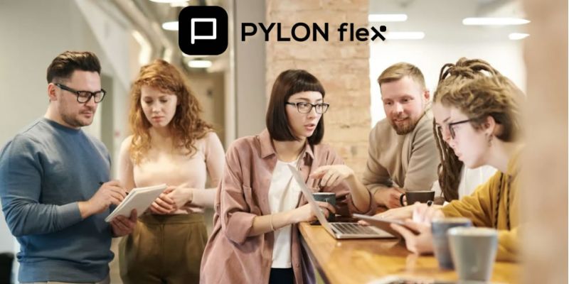 PYLON Flex: Οι διασυνδέσεις που απογειώνουν την Επιχείρησή σας